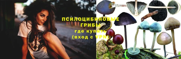 меф Алексин