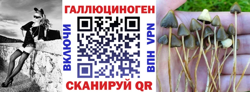 купить   Яхрома  Псилоцибиновые грибы GOLDEN TEACHER 